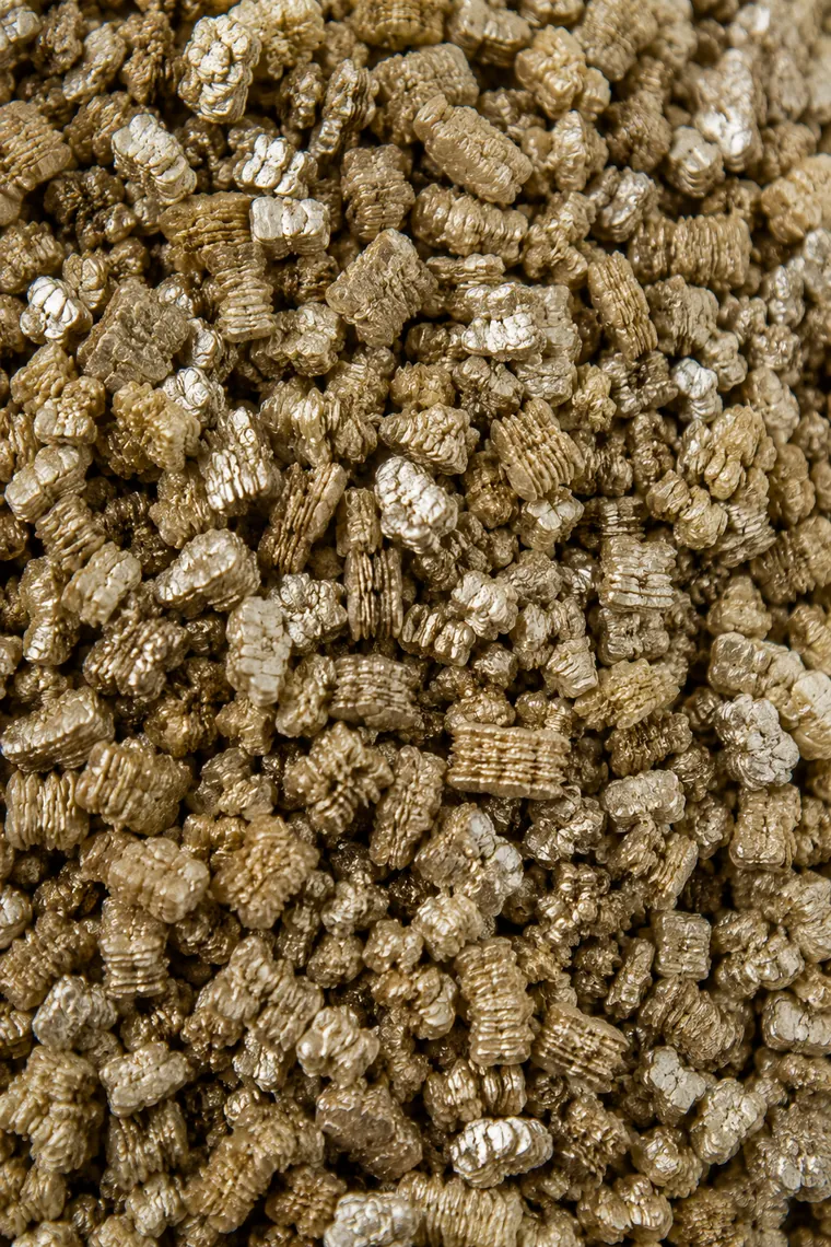 Vermiculita